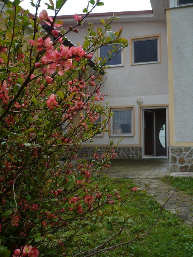 Apartmaji In Sobe Kocjancic Podcetrtek Bagian luar foto